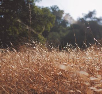 欧冠强队苦战，赛事争夺激烈